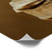 Venus de Milo Poster (Ecke)