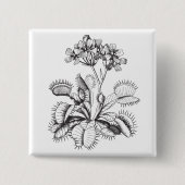 Venus Fliegenfalle Button (Vorderseite)