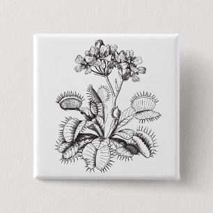 Venus Fliegenfalle Button