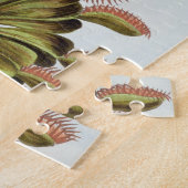 Venus Fliegenfalle, Platte 84, 'von der Sammlung Puzzle (Seite)