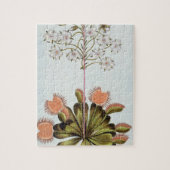 Venus Fliegenfalle, Platte 84, 'von der Sammlung Puzzle (Vertikal)