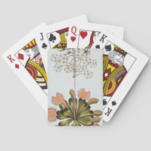 Venus-Fliegenfalle, Tafel 84, aus 'Collection Prec Spielkarten