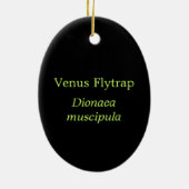 Venus Fliegenfallen Verzierung Keramik Ornament (Hinten)