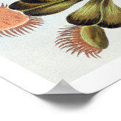 Venus Fly Falle Poster (Ecke)