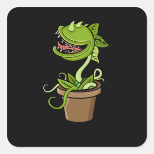 Venus Fly Fallen Pflanze Geschenk Männer Fleisch f Quadratischer Aufkleber