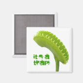 Venus Fly Trap Magnet (Vorderseite/Rückseite)