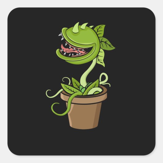 Venus Fly Trap Plant Gift Men Carnivorous Pflanzen Quadratischer Aufkleber (Vorderseite)