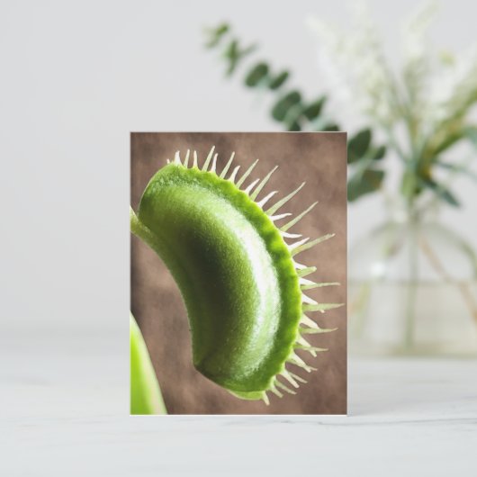 Venus Fly Trap Postkarte (Stehend Vorderseite)