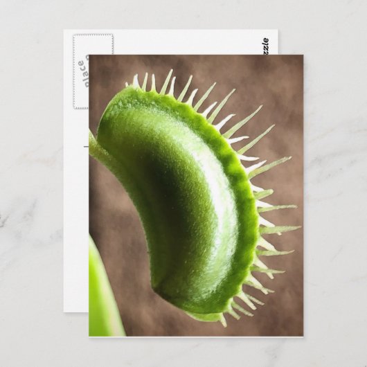 Venus Fly Trap Postkarte (Vorne/Hinten)