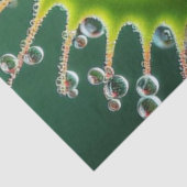 Venus Flytrap Floral Whimsical Fun Wild Seidenpapier (Ausschnitt)