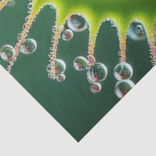 Venus Flytrap Floral Whimsical Fun Wild Seidenpapier (Ausschnitt)