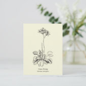 Venus Flytrap, karnivorische Pflanze Postkarte (Stehend Vorderseite)