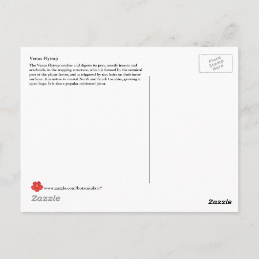 Venus Flytrap, karnivorische Pflanze Postkarte (Rückseite)