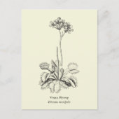 Venus Flytrap, karnivorische Pflanze Postkarte (Vorderseite)