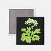 Venus Flytrap Magnet (Vorderseite/Rückseite)