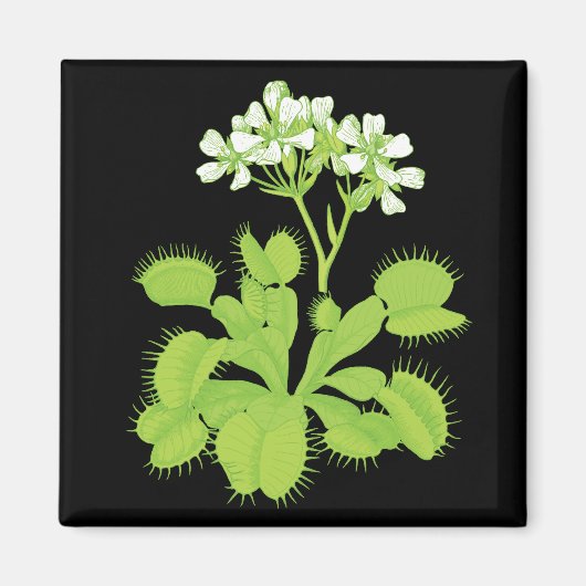 Venus Flytrap Magnet (Vorne)