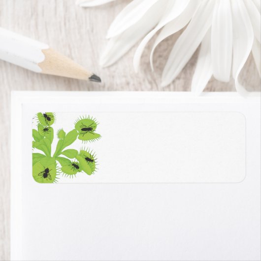 Venus Flytrap mit Flies-Labels (Insitu)