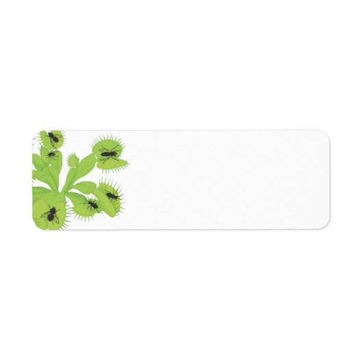 Venus Flytrap mit Flies-Labels (Vorne)