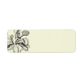 Venus Flytrap Pflanze Labels (Vorne)