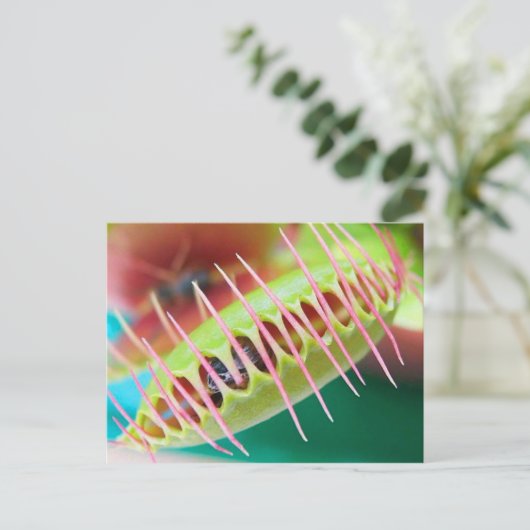 Venus Flytrap Postkarte (Stehend Vorderseite)