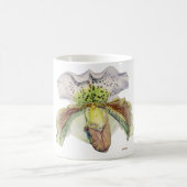 Venus (Frauenschuh) Kaffeetasse (Mittel)