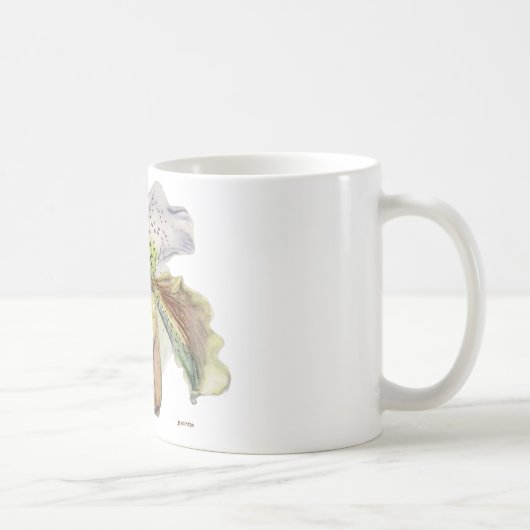 Venus (Frauenschuh) Kaffeetasse (Rechts)