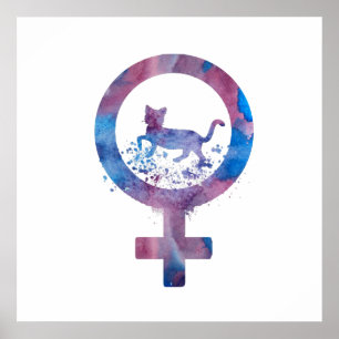 Venus-Katze Poster