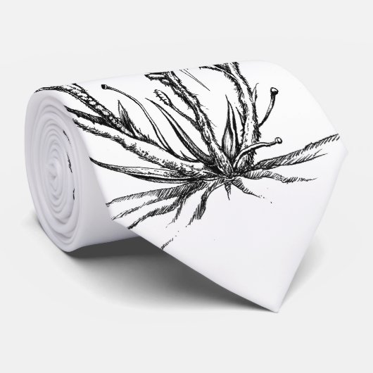 Venus Krawatte (Gerollt)