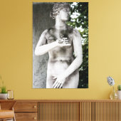 Venus Leinwanddruck (Insitu (Wohnzimmer))