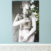 Venus Leinwanddruck (Insitu (Holzboden))