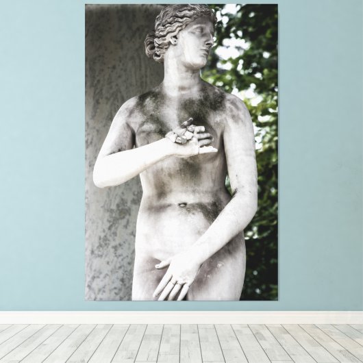 Venus Leinwanddruck (Insitu (Holzboden))