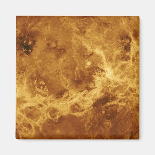 VENUS MAGNET (Vorne)