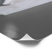 Venus of the Doves (Marmor) Poster (Ecke)