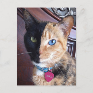 Venus-Portraitkarten Postkarte