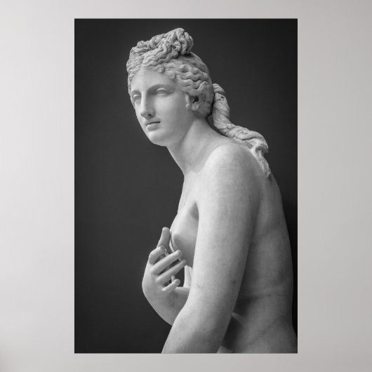 Venus Poster (Vorne)