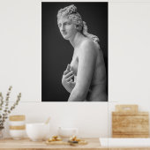 Venus Poster (Küche)