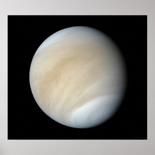 Venus Poster (Vorne)