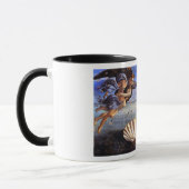 Venus Tasse (Links)
