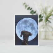 Venus und der Mond Postkarte (Stehend Vorderseite)