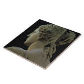 Venus von Milo, Detail der Rückseite des Kopfes, Fliese (Seite)