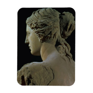 Venus von Milo, Detail der Rückseite des Kopfes, Magnet