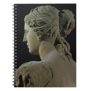 Venus von Milo, Detail der Rückseite des Kopfes, Notizblock