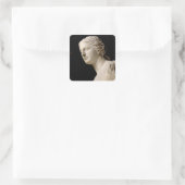 Venus von Milo Quadratischer Aufkleber (Tasche)
