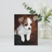 Venus Welpe Postkarte (Stehend Vorderseite)