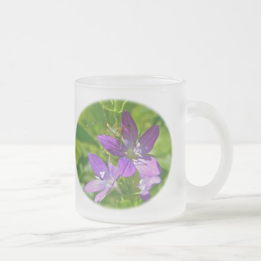 Venus-Wildblume Mattglastasse (Rechts)