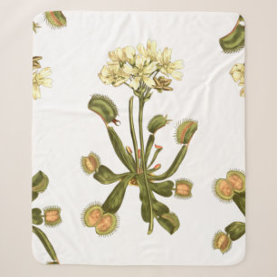 Venusfliegenfalle Blumen Sherpadecke