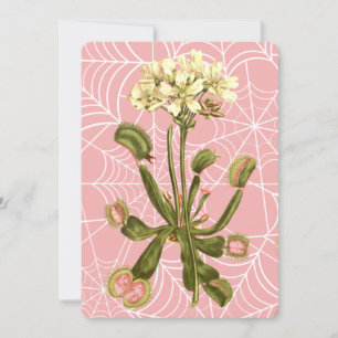 Venusfliegenfalle Blumen Spinnennetz Einladung