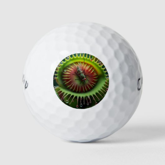 Venusfliegenfalle Blumige Laune Golfball (Vorderseite)