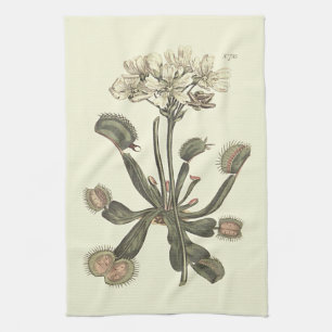 Venusfliegenfalle Botanische Illustration Küchentuch