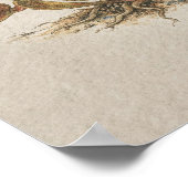 Venusfliegenfallen-Botanik-Studienposter Poster (Ecke)